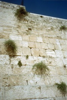 Kotel