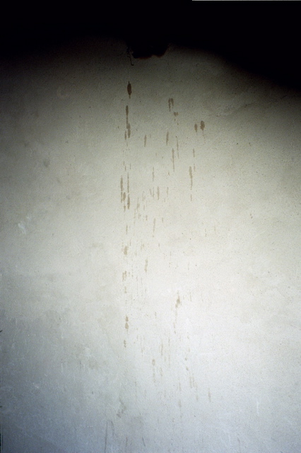 Fingernail Scratches on Gas Chamber Walls in Majdanek