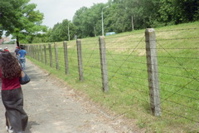 Barbed Wire at Majdanek