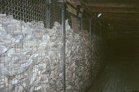 Shoes in Majdanek