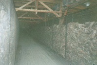 Long Barracks of Shoes at Majdanek