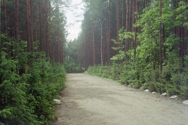Memorial Trees at Sobibor