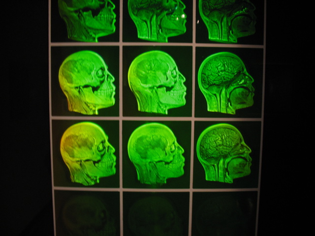 Skulls Hologram