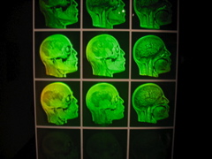 Skulls Hologram