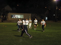 Nativ defensive line