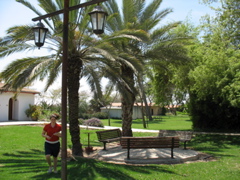 Molly under the palm trees