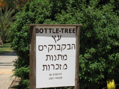 Bottle-Tree Sign