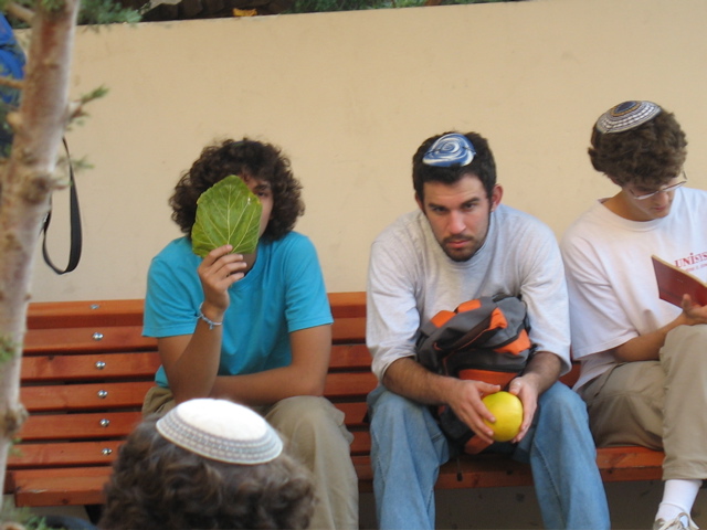 Lev and Hillel contemplate tree parts