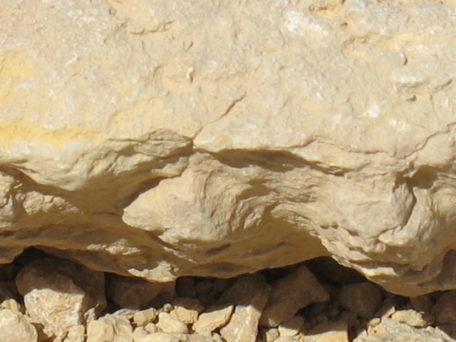 Close-up of the nautilus