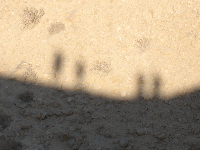 Zoomed silhouette