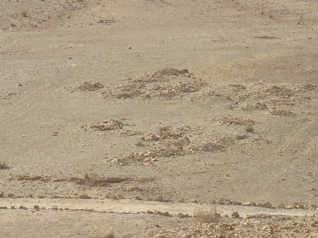 Graves of an ancient people