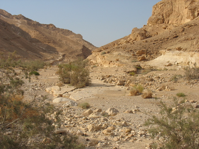 The Negev!