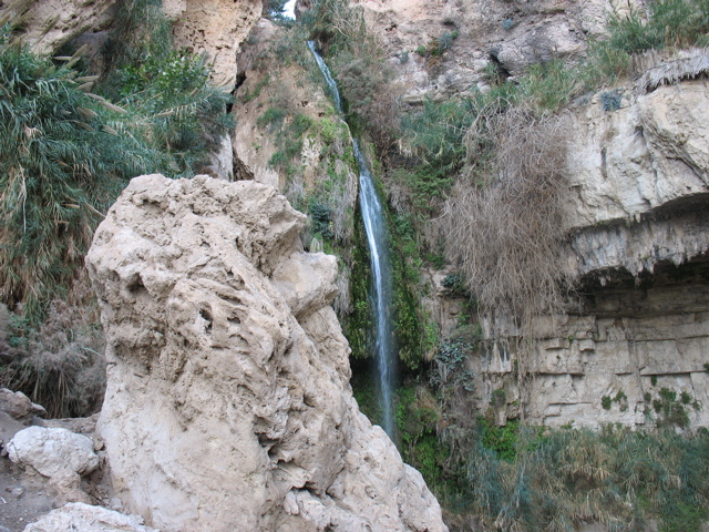Nachal David!