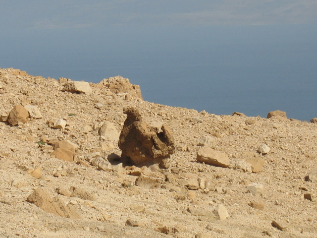 The giant chicken rock!