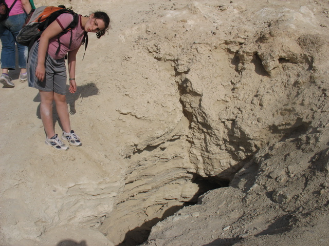 The crevice