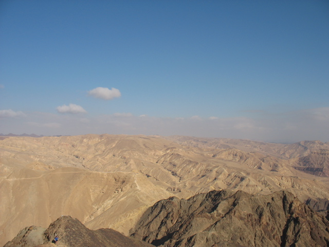 The landscape