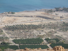 Around the Dead Sea