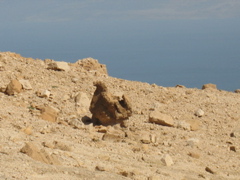 The giant chicken rock!