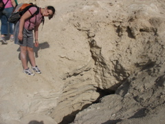 The crevice