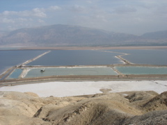 Dead Sea!