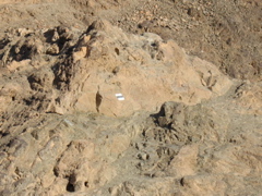 The trail marker