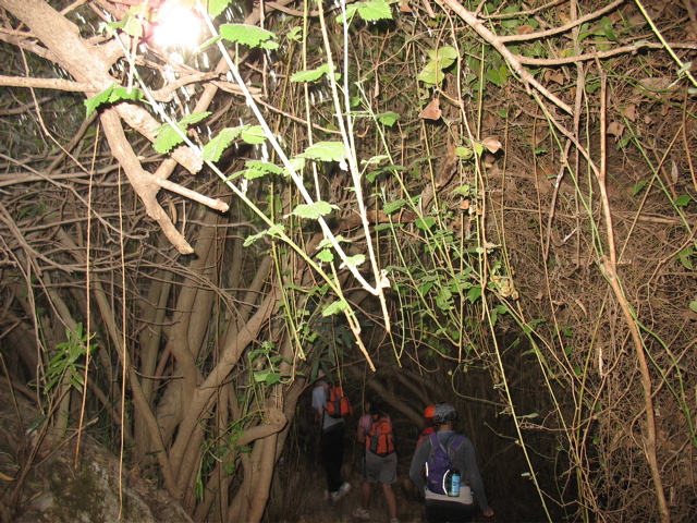 People walk into the wooden tunnel
