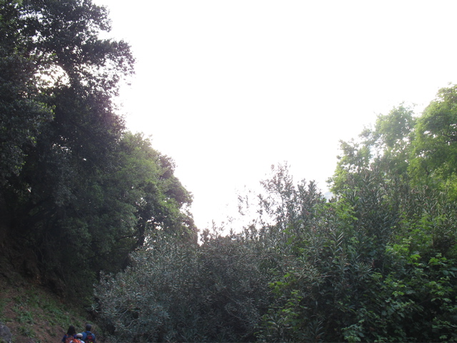 The day is bright