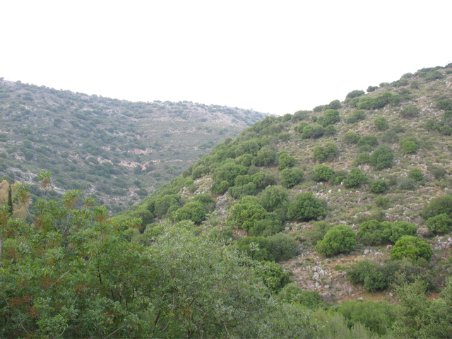 Mountain landscape