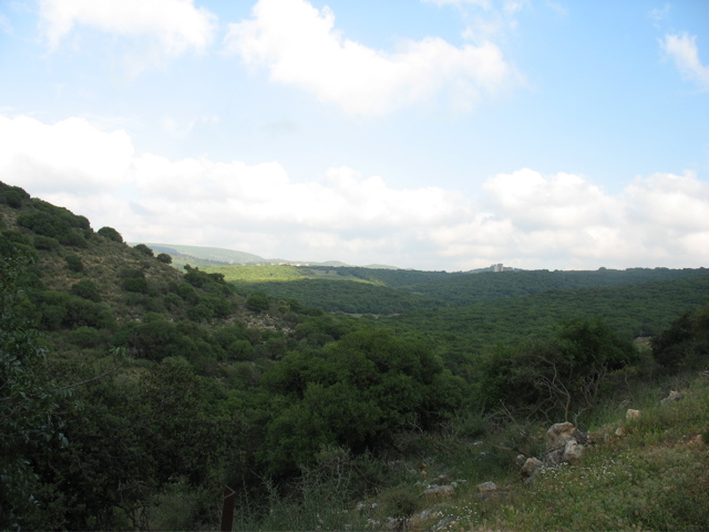 Landscape of the north