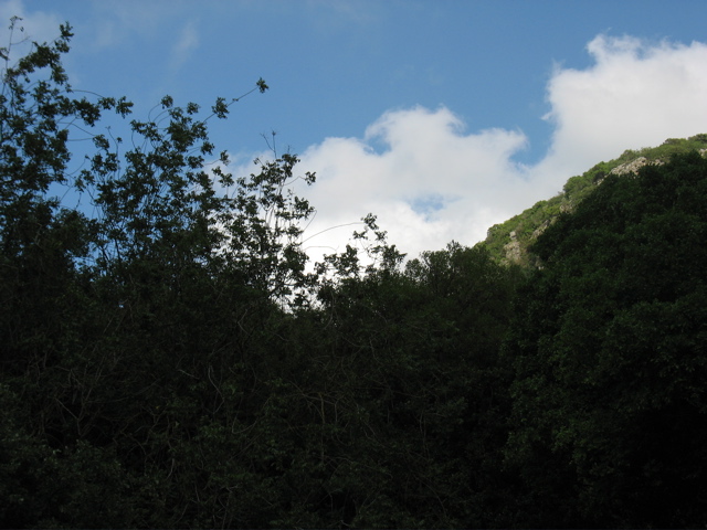 The sky