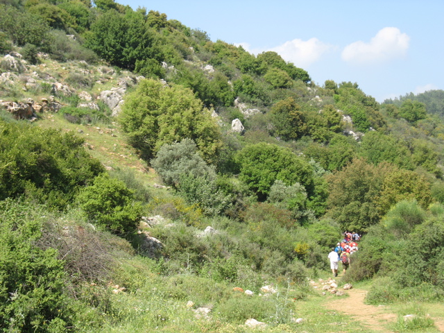 We hike
