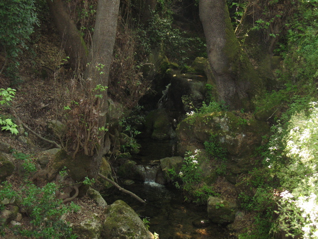 A small waterfall