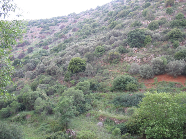 The mountainside