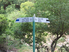 Bezet Stream -- Horbat Erav sign