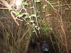People walk into the wooden tunnel