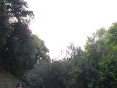 The day is bright