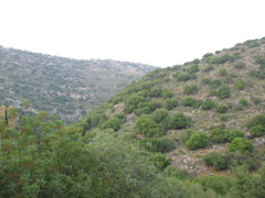 Mountain landscape
