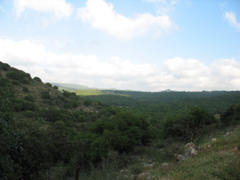 Landscape of the north