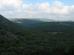 More north