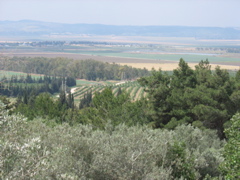 The valley