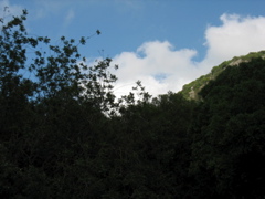 The sky