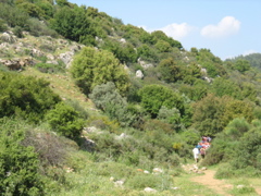 We hike