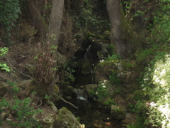 A small waterfall