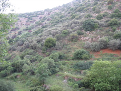 The mountainside