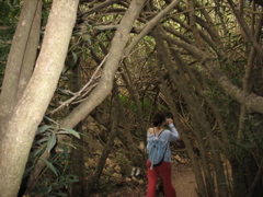 Alana takes pictures in the wooded canopy