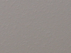 The Wall of our Room
